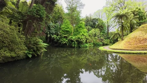 Pond surrounded by lush green trees in the Azores Vídeos de archivo 334398992