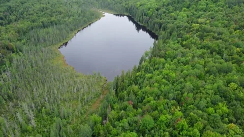 Pond Surrounded By Mountains Stock Footage 306317913