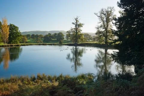Pond surrounded the trees and meadows Stock Photos