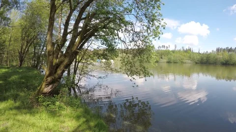 The pond surrounded by trees. Stock Footage 76186220