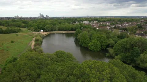 Pond surrounded with trees in Wanstead Park Stock Footage 159149288