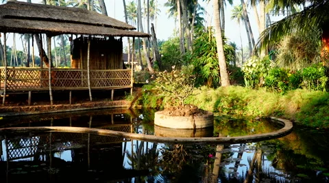 Pond with thatch gazebo. Stock Footage 67088693