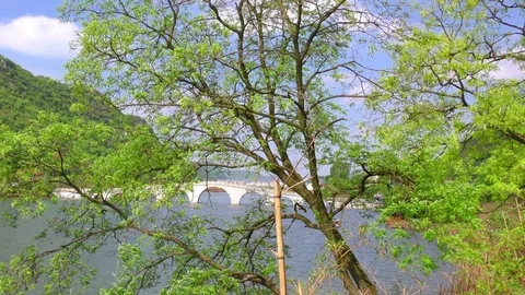 Pond Through Tree China Lake Bridge Windy Day Stock Footage 75066371
