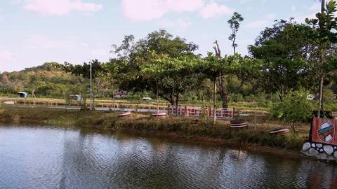 A pond with a tree in the background Stock Photos