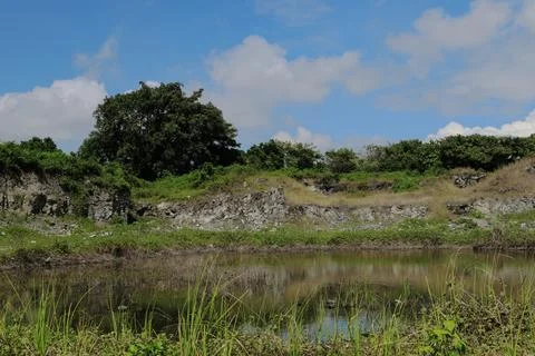 A pond with a tree in the background Stock Photos