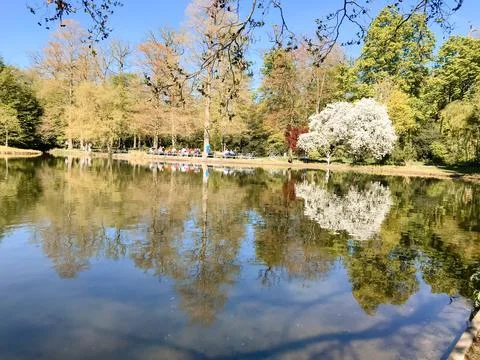 A pond with a tree in the background Stock Photos