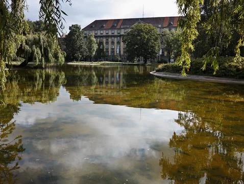 A pond with a tree in front of it. Stock Photos