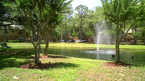 Pond with Trees 02 Video stock 5222213