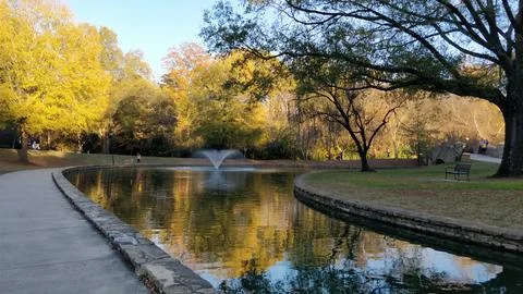 Pond with Trees Around it Stock Photos