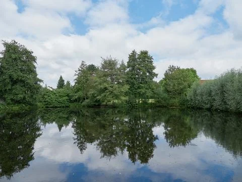 Pond with trees on the edge Stock-Fotos
