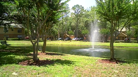 Pond with Trees Video stock 5221745