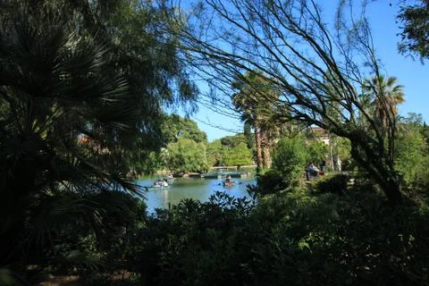 A pond with trees in the foreground Foto stock