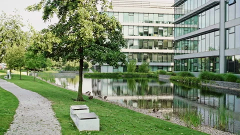 Pond with trees in front of modern contemporary glass office building Video stock 87786885