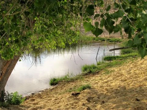 Pond with trees Foto stock
