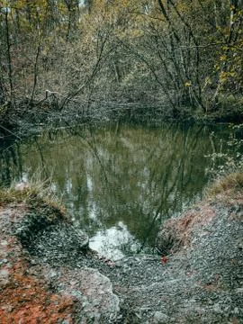 Pond in the trees Foto stock