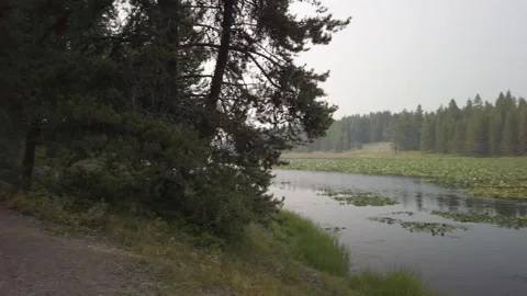 Pond UHD 02 Stock Footage 179720213