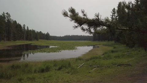 Pond UHD Stock Footage 179605139