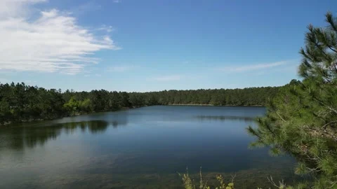 Pond under blue skies 스톡 동영상 241533697