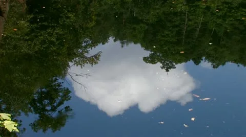 Pond in valley with reflections of cloud and trees Stock Footage 11528236