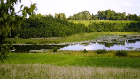 Pond in the valley - spring scenery Видео 94643675