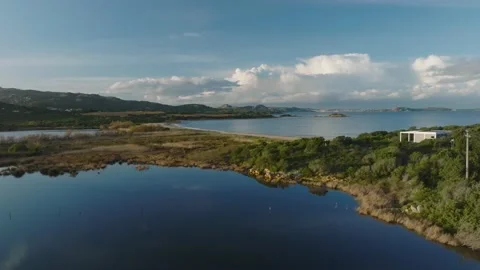 A pond with various birds behind the beach Video stock 232345752