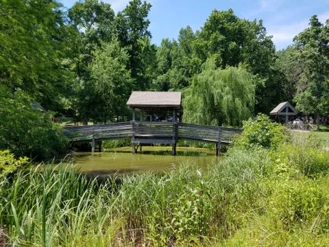 Pond with vegetation and bridge Stock Photos