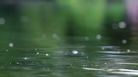 Pond Water Background Stock Footage 151938061