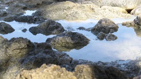 Pond of Water Stock Footage 231539641