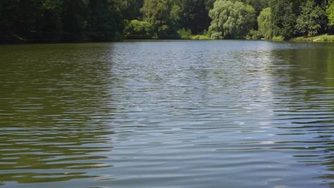 Pond water with small ripples of waves and sky reflection. Fixed shot. Stock Footage 285897145