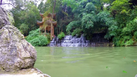 Pond waterfall dragon waterlevel Stock Footage 75067100