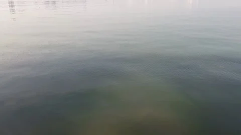 Pond waves Stock Footage 155348753