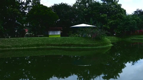 Pond wide Stock Footage 126551443