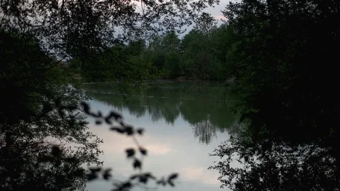 Pond in the wilderness 库存影片 83811074