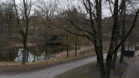 Pond in winter, bare trees at Werner-Klemke Park, Weissensee, Berlin, Germany Stock Footage 95874946