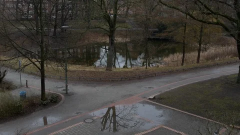 Pond in winter, bare trees at Werner-Klemke Park, Weissensee, Berlin, Germany. Stock Footage 95875200
