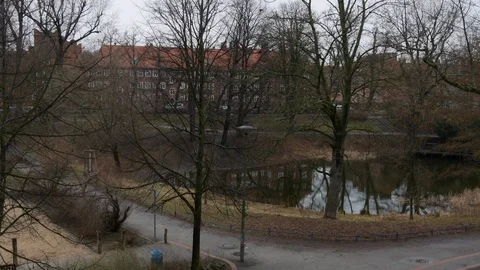 Pond in winter, bare trees at Werner-Klemke Park, Weissensee, Berlin, Germany Stock Footage 95875387