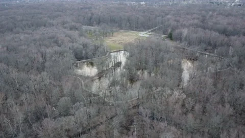 Pond in the winter forest drone Video stock 239246001