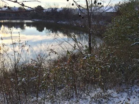 Pond In Winter Stock Photos