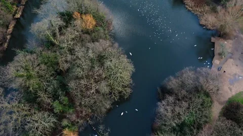 Pond in winter, top down view Video stock 264342997