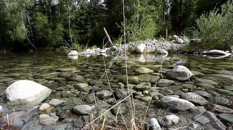 Pond in the woods 스톡 동영상 49044465