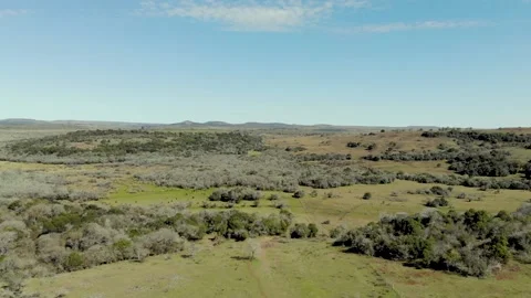 POND5-0866-01 Stock Footage 220493405