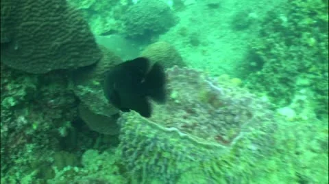 Pond5 10 Stock Footage 10838522