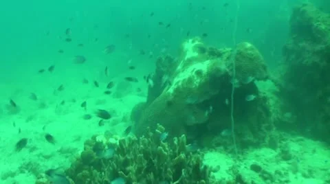 Pond5 100 Stock Footage 10886006