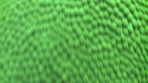 Pond5 101 Stock Footage 10883726