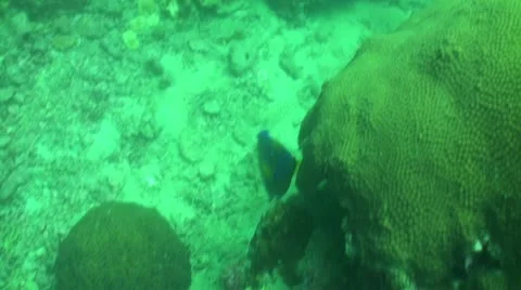 Pond5 102 Stock Footage 10886056