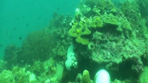 Pond5 103 Stock Footage 10883738