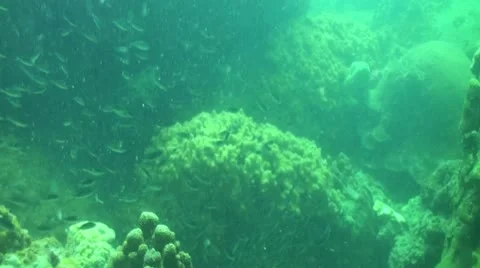 Pond5 104 Stock Footage 10883761