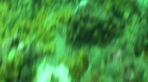 Pond5 105 Stock Footage 10883778