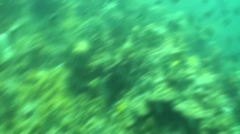 Pond5 106 Stock Footage 10883971