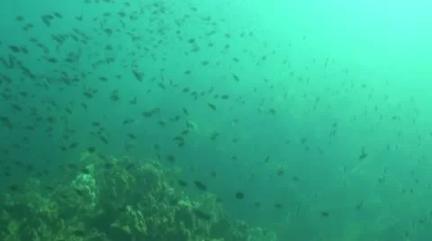 Pond5 107 Stock Footage 10883939